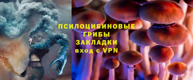 Галлюциногенные грибы Cubensis  Подольск 